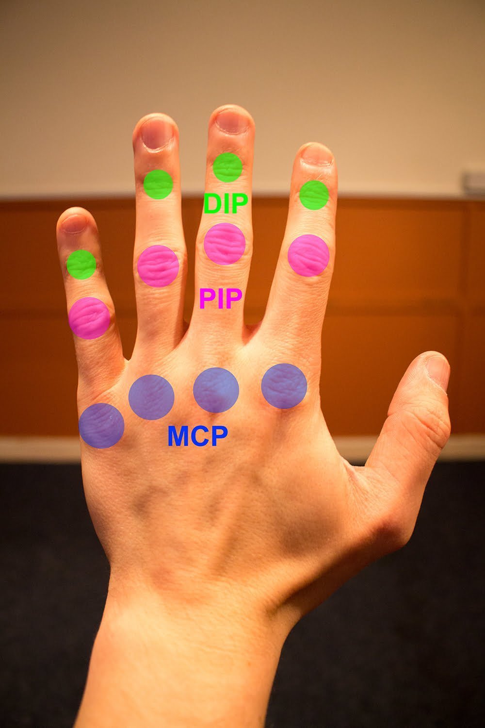 Basic Left Hand Positioning and Technique