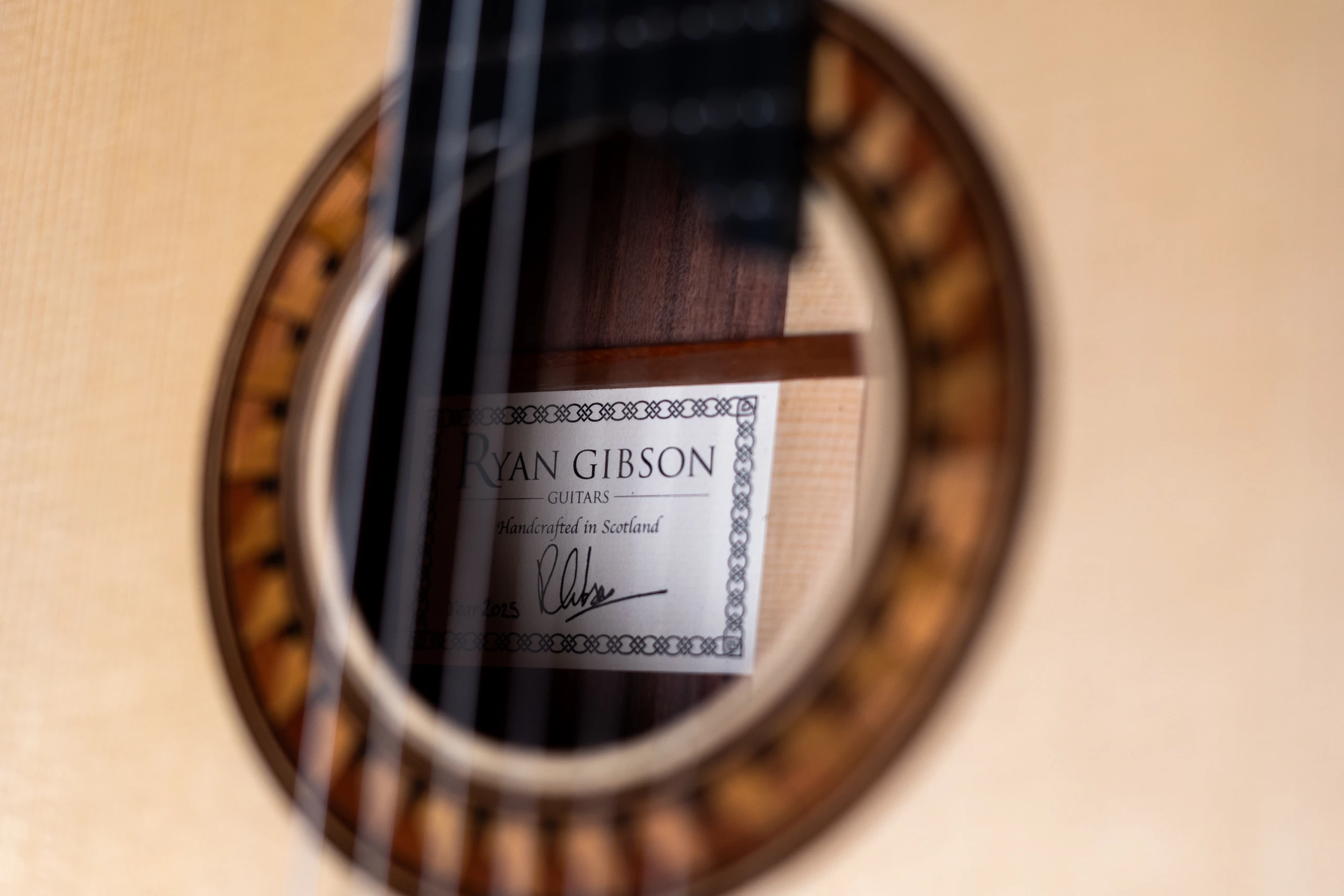 Ryan Gibson | Concert Model (2026) - Image 13
