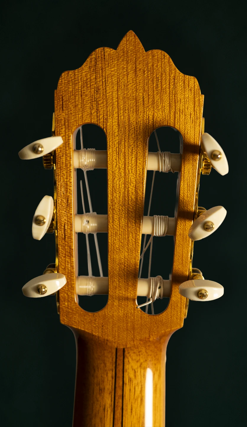 Amalio Burguet | 1A - Image 10