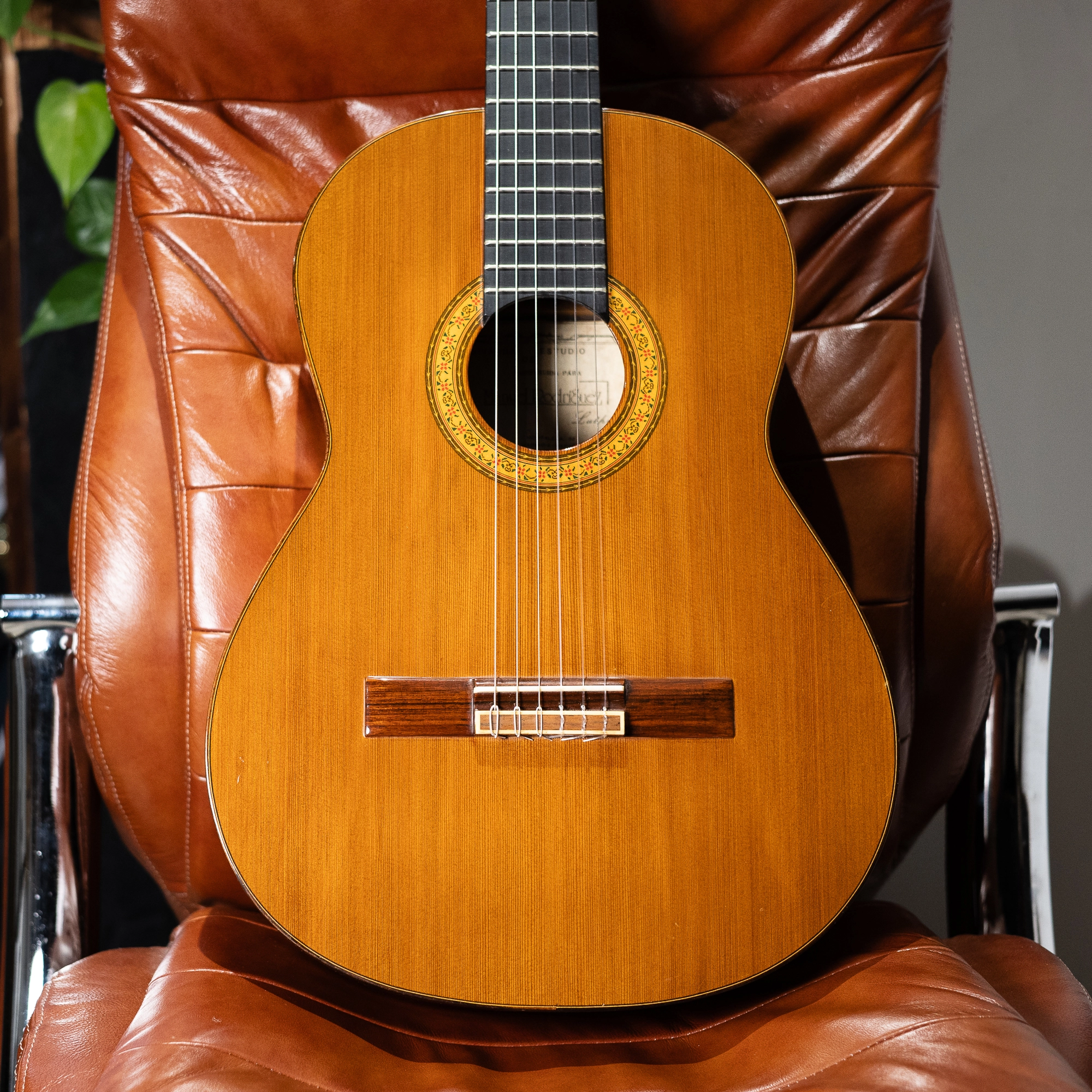 Manuel Rodriguez | Model D