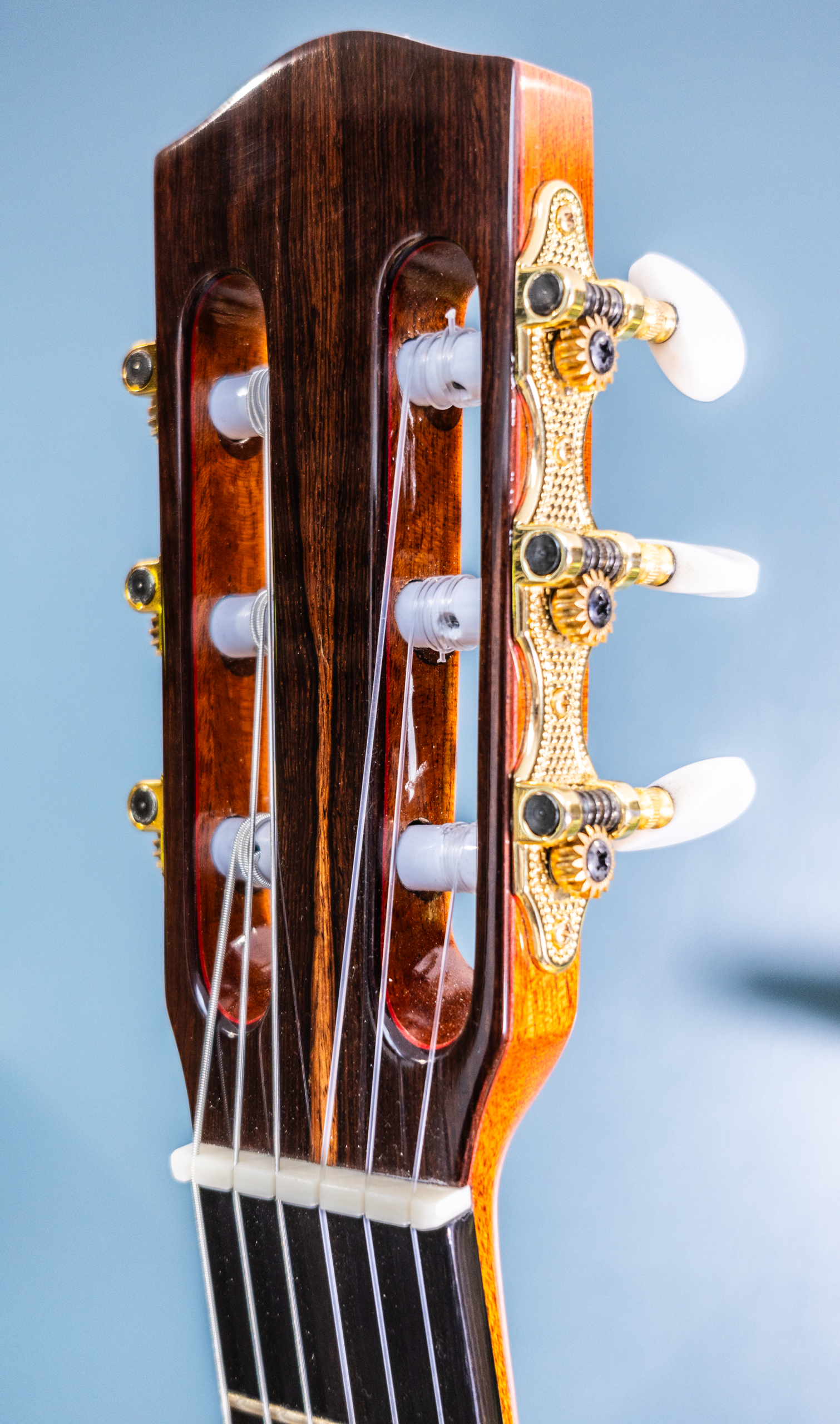 Mark Finney | Concert Model (2022) - Image 10