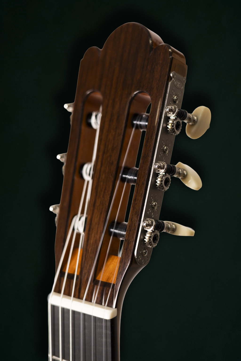Wolfgang Jellinghaus | Torres FE13 - Image 12
