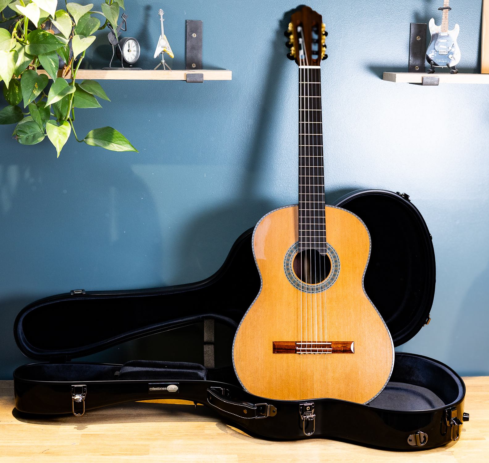 Wolfgang Jellinghaus | Conservatory Cedar EF - Image 14