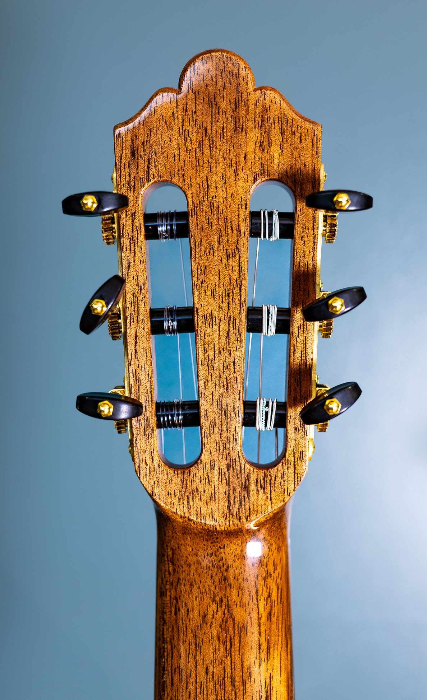 Wolfgang Jellinghaus | Conservatory Cedar EF - Image 13