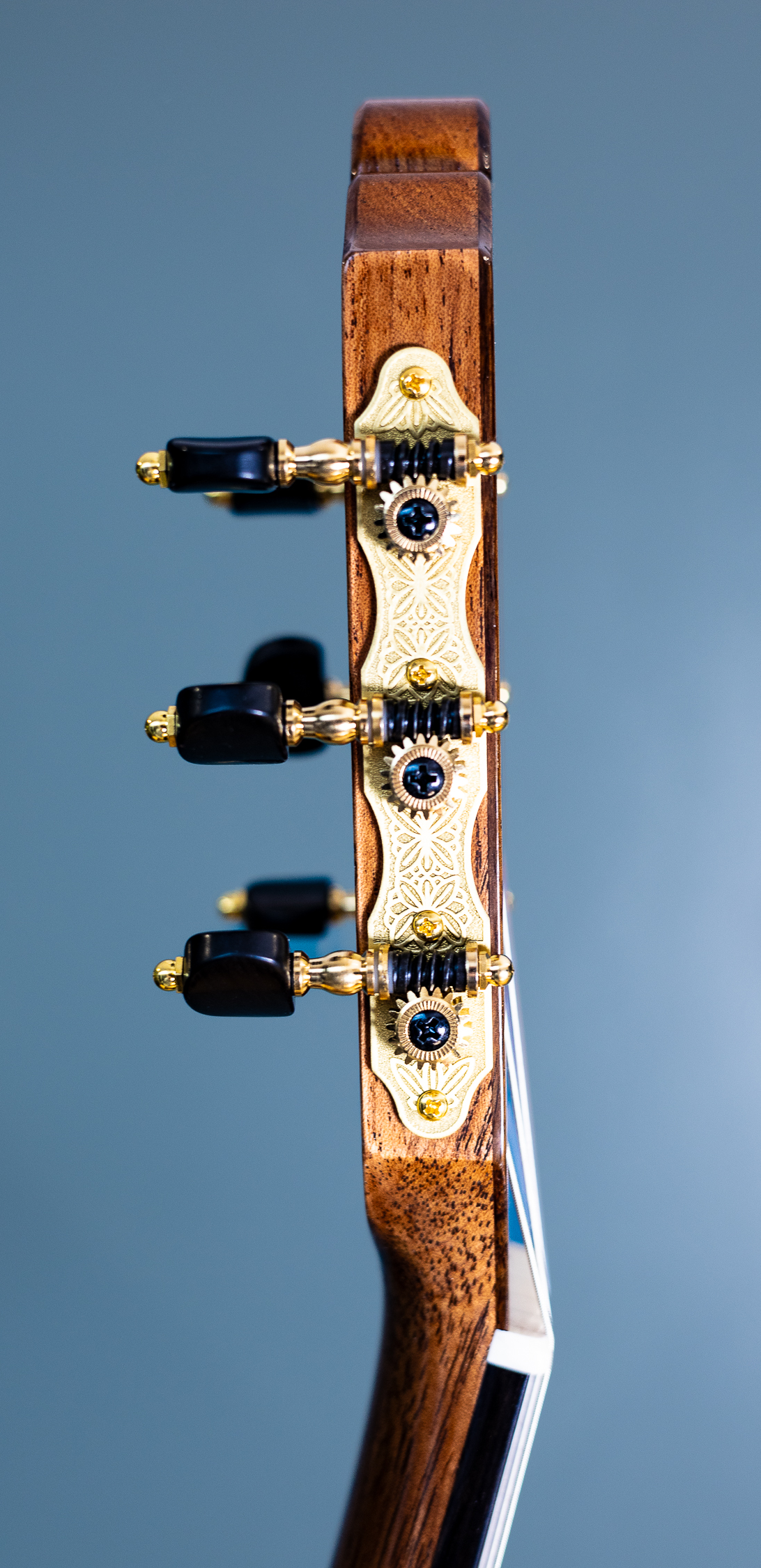 Wolfgang Jellinghaus | Conservatory Cedar EF - Image 12