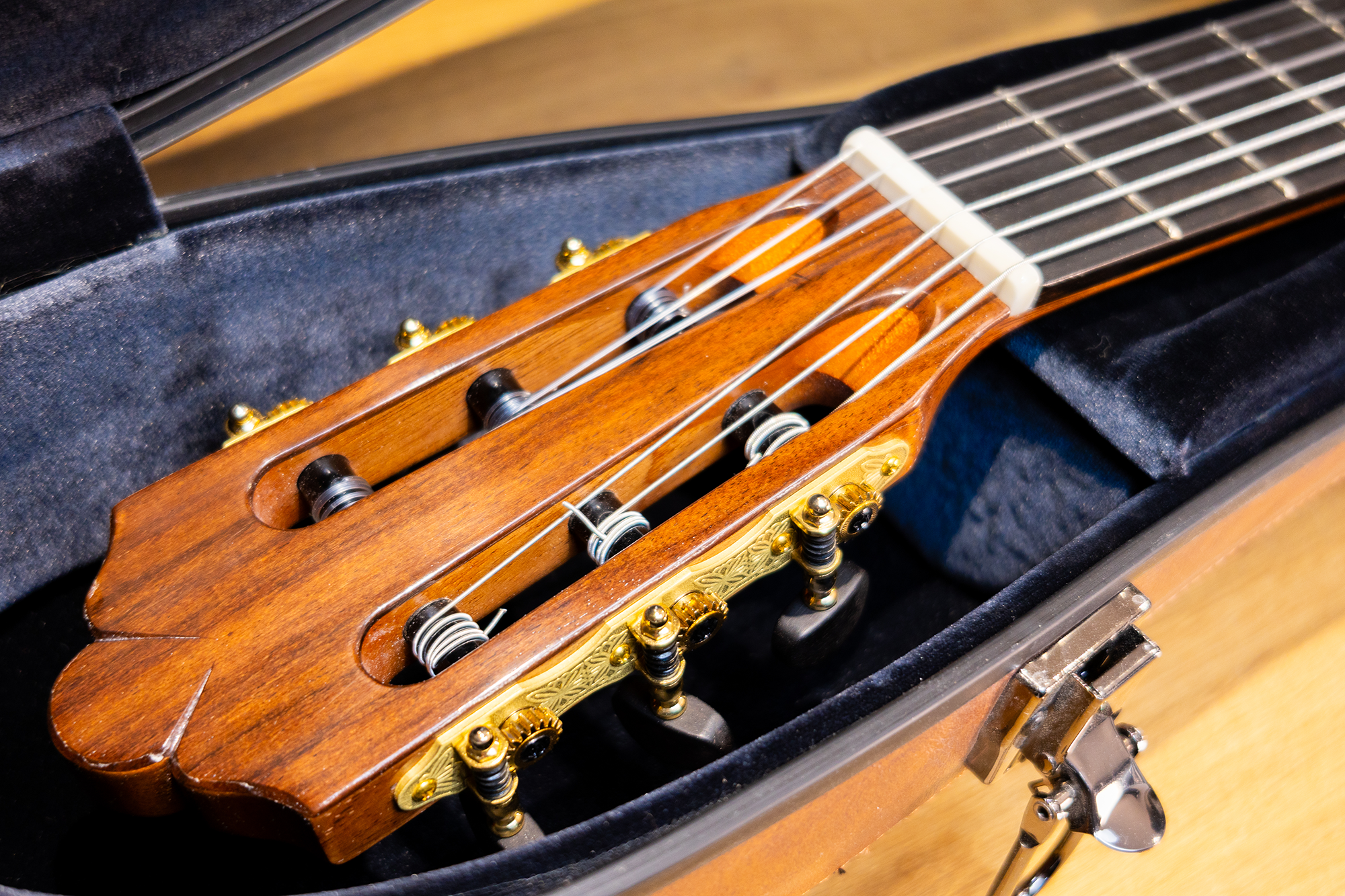 Wolfgang Jellinghaus | Conservatory EF - Image 12