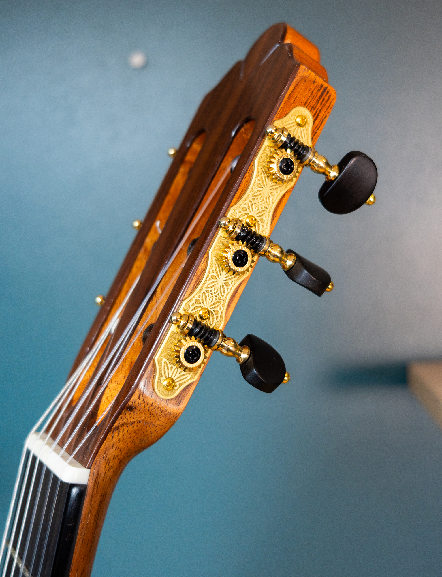 Wolfgang Jellinghaus | Conservatory EF - Image 10