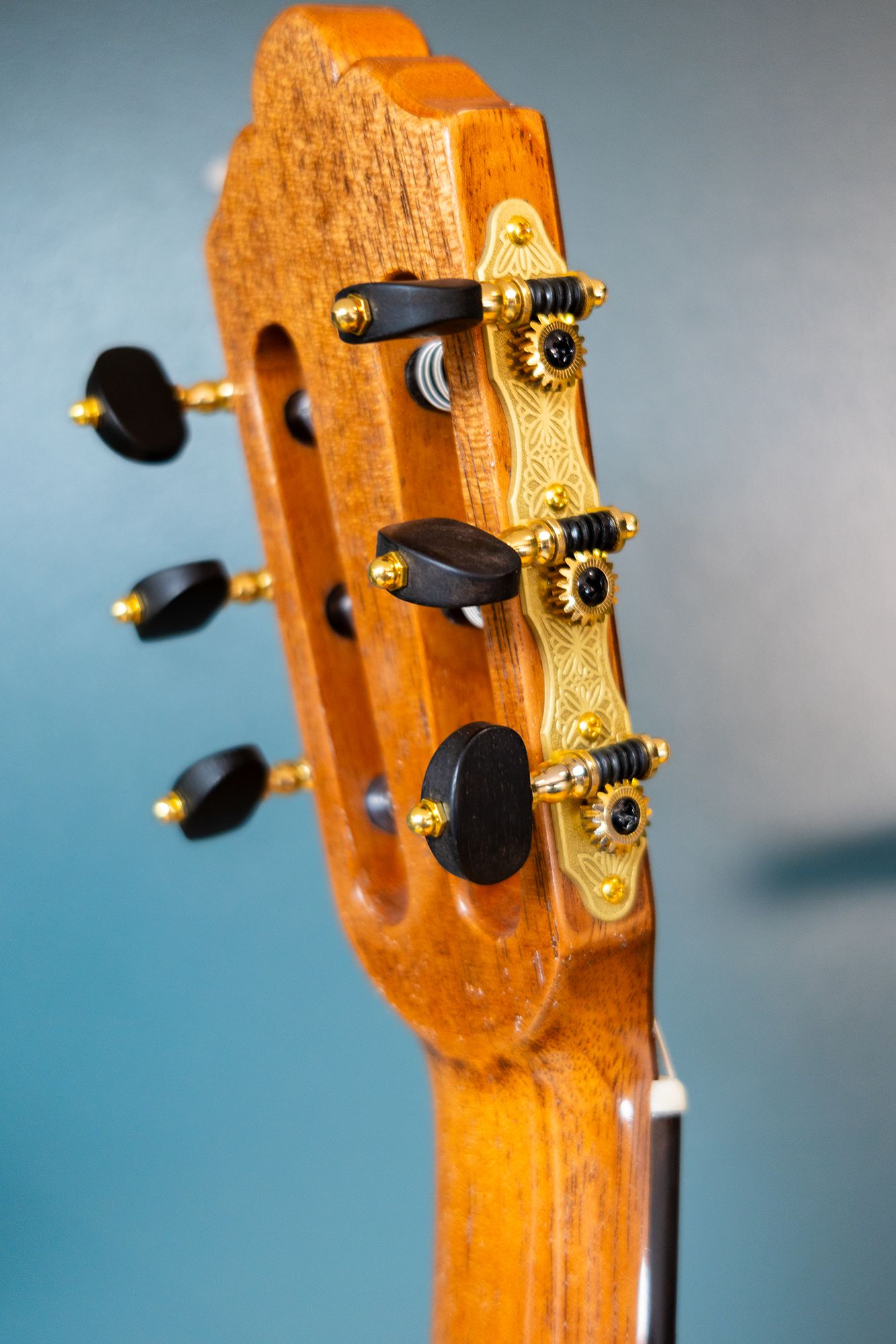 Wolfgang Jellinghaus | Conservatory EF - Image 11