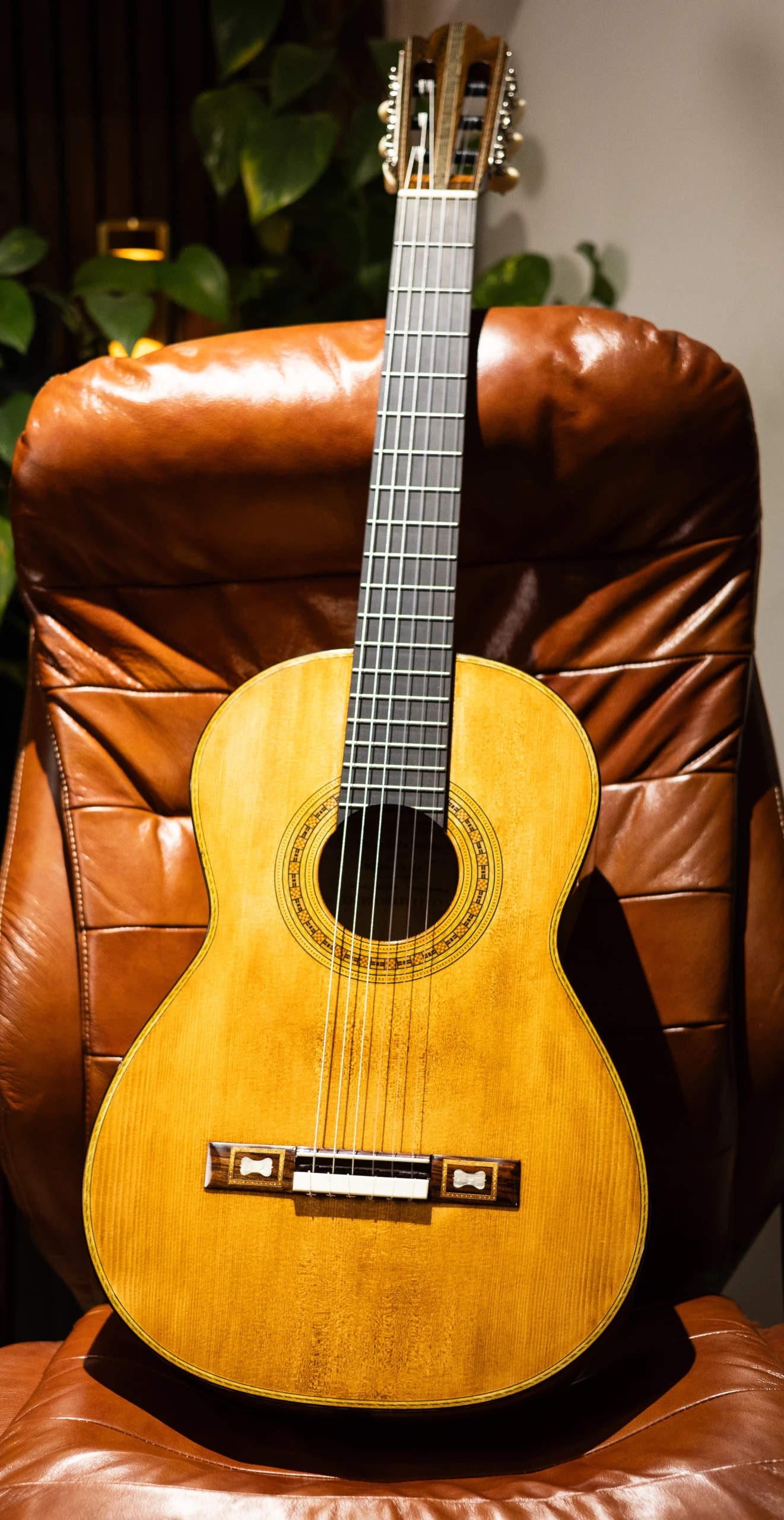 Wolfgang Jellinghaus | Torres FE17 O - Image 2