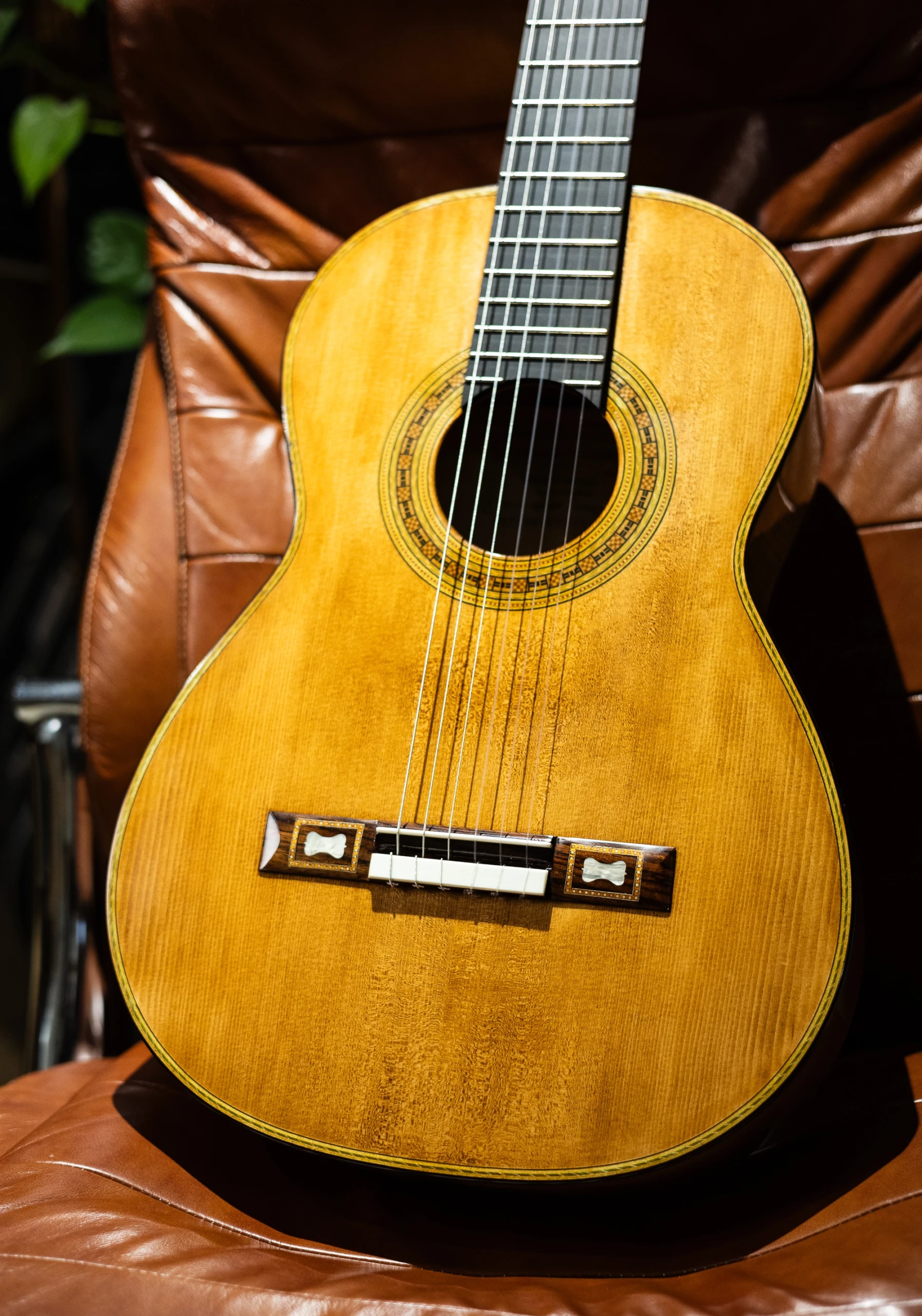Wolfgang Jellinghaus | Torres FE17 O - Image 4
