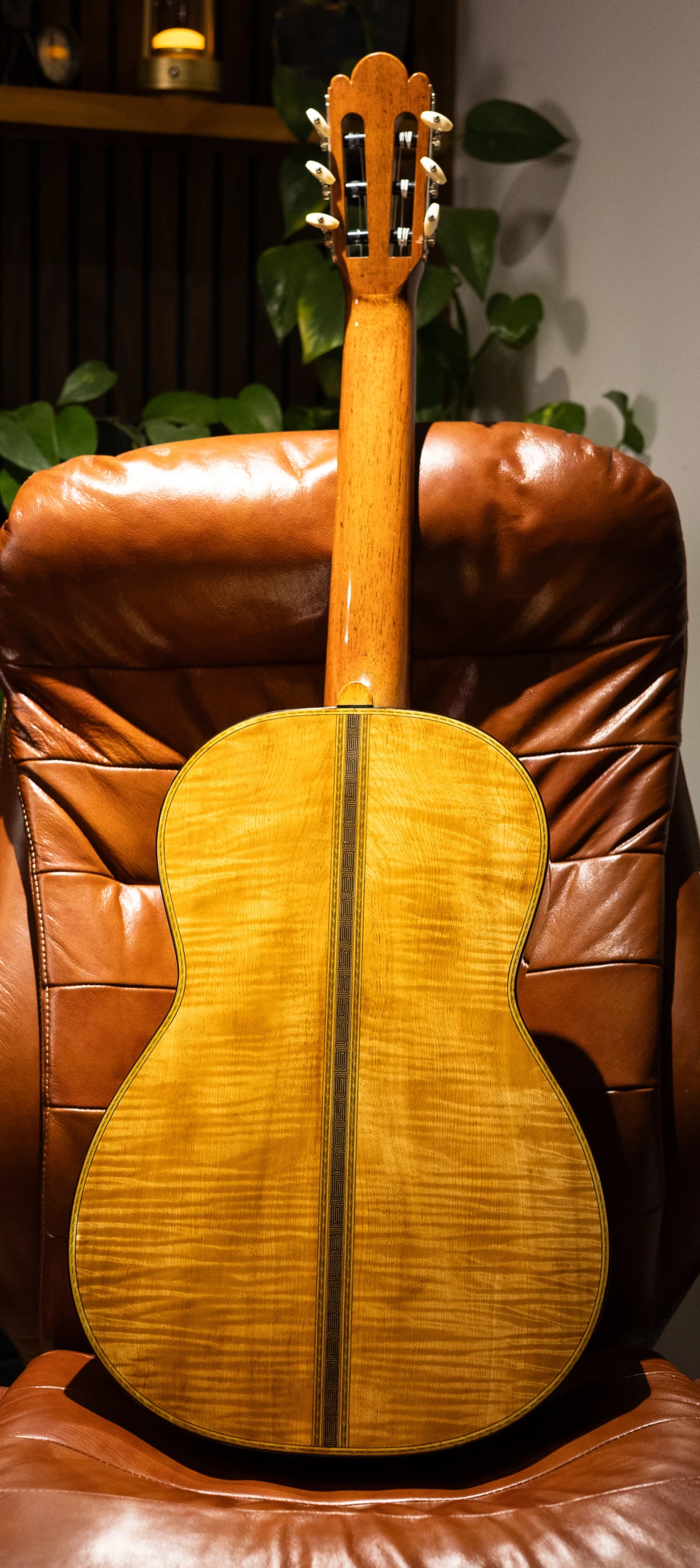 Wolfgang Jellinghaus | Torres FE17 O - Image 5