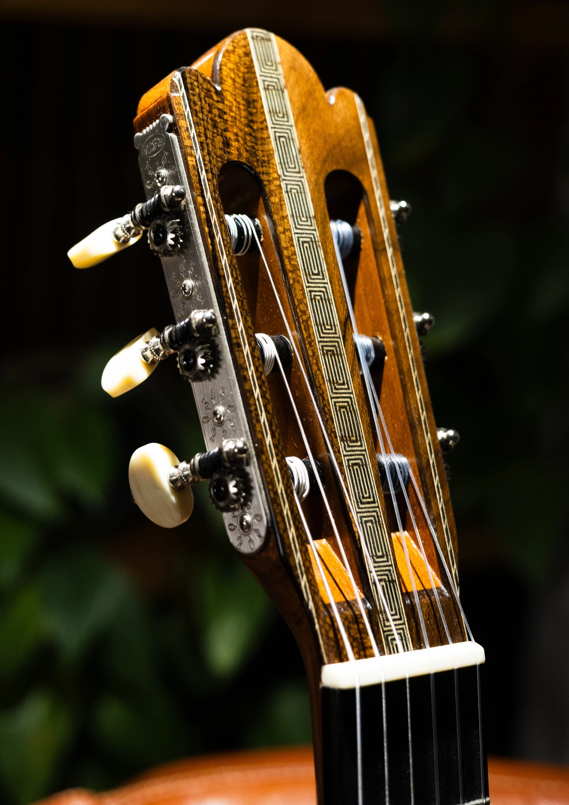 Wolfgang Jellinghaus | Torres FE17 O - Image 8