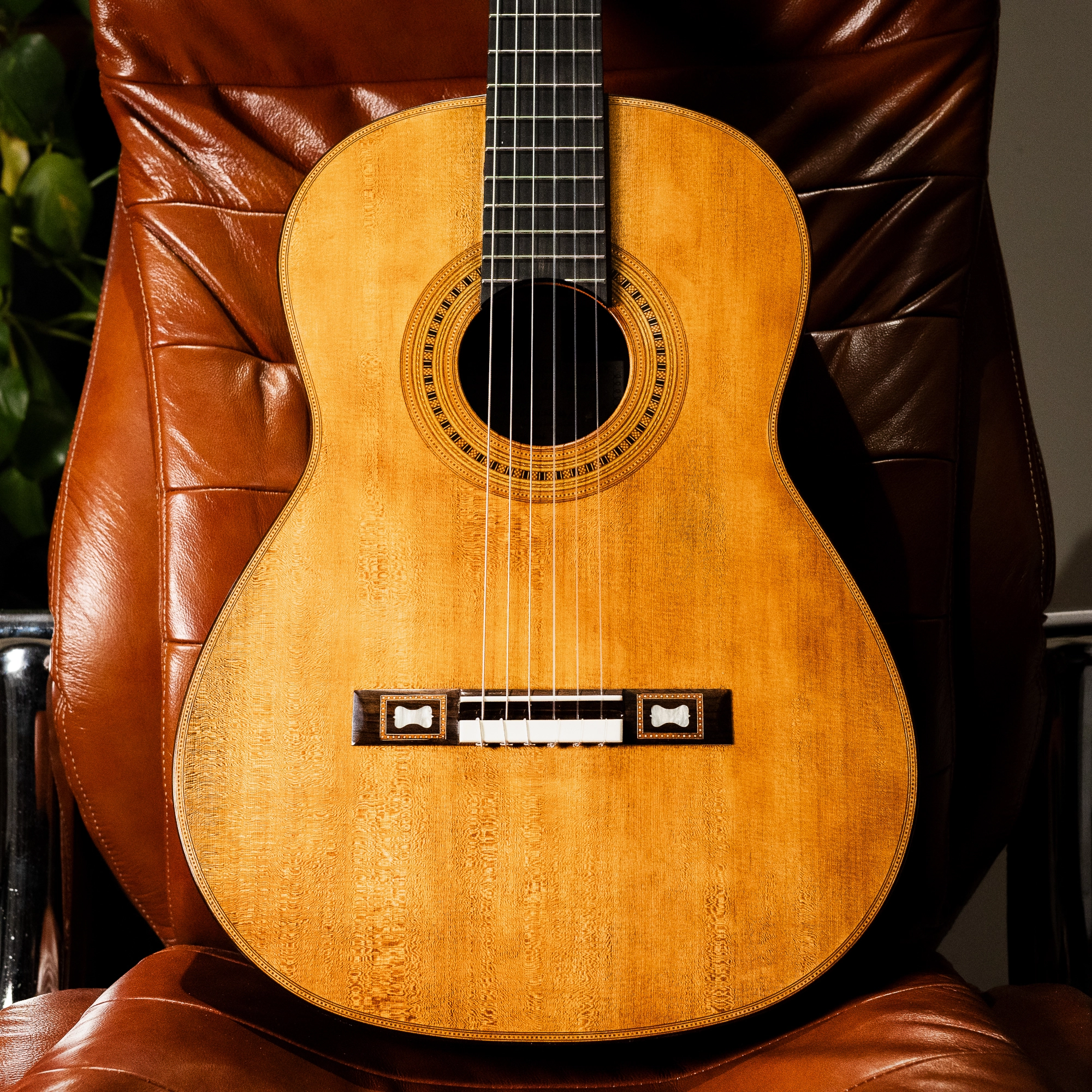 Wolfgang Jellinghaus | Torres SE43 M
