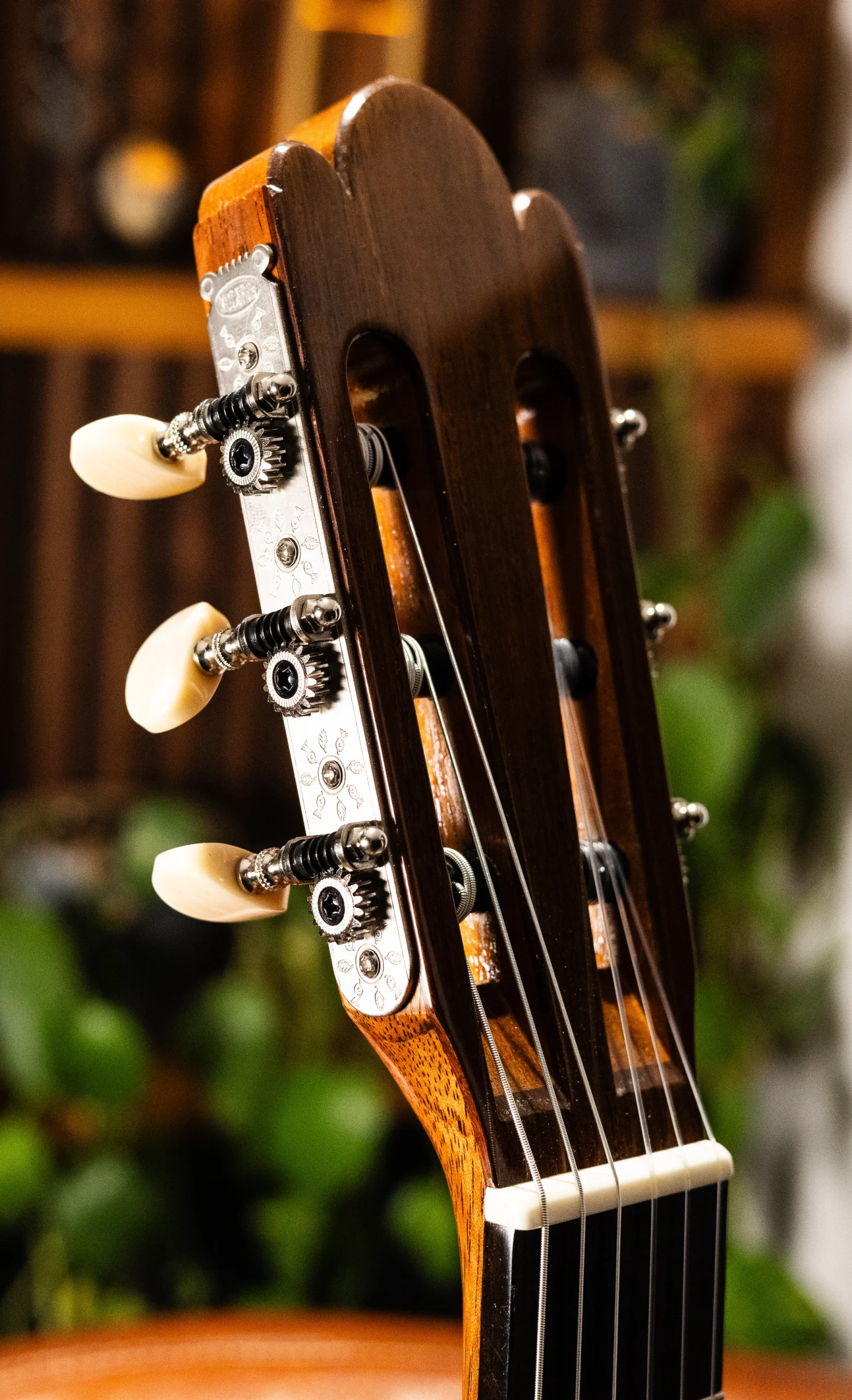 Wolfgang Jellinghaus | Torres SE43 M - Image 9