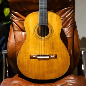 Wolfgang Jellinghaus | Torres SE43 S