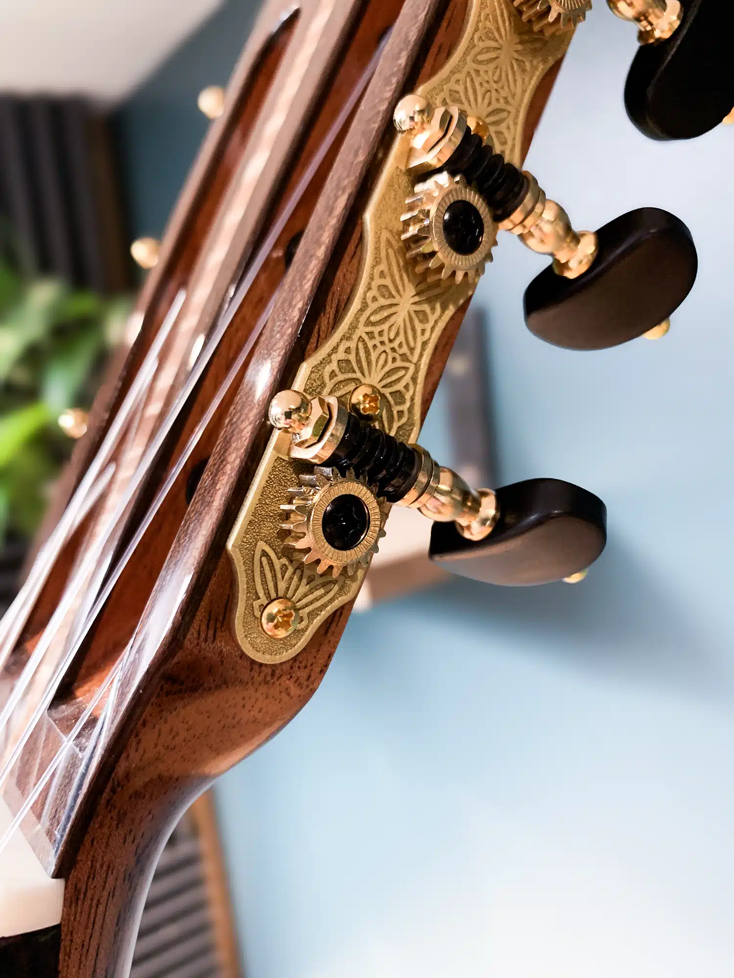 Wolfgang Jellinghaus | Signature Z - Image 20
