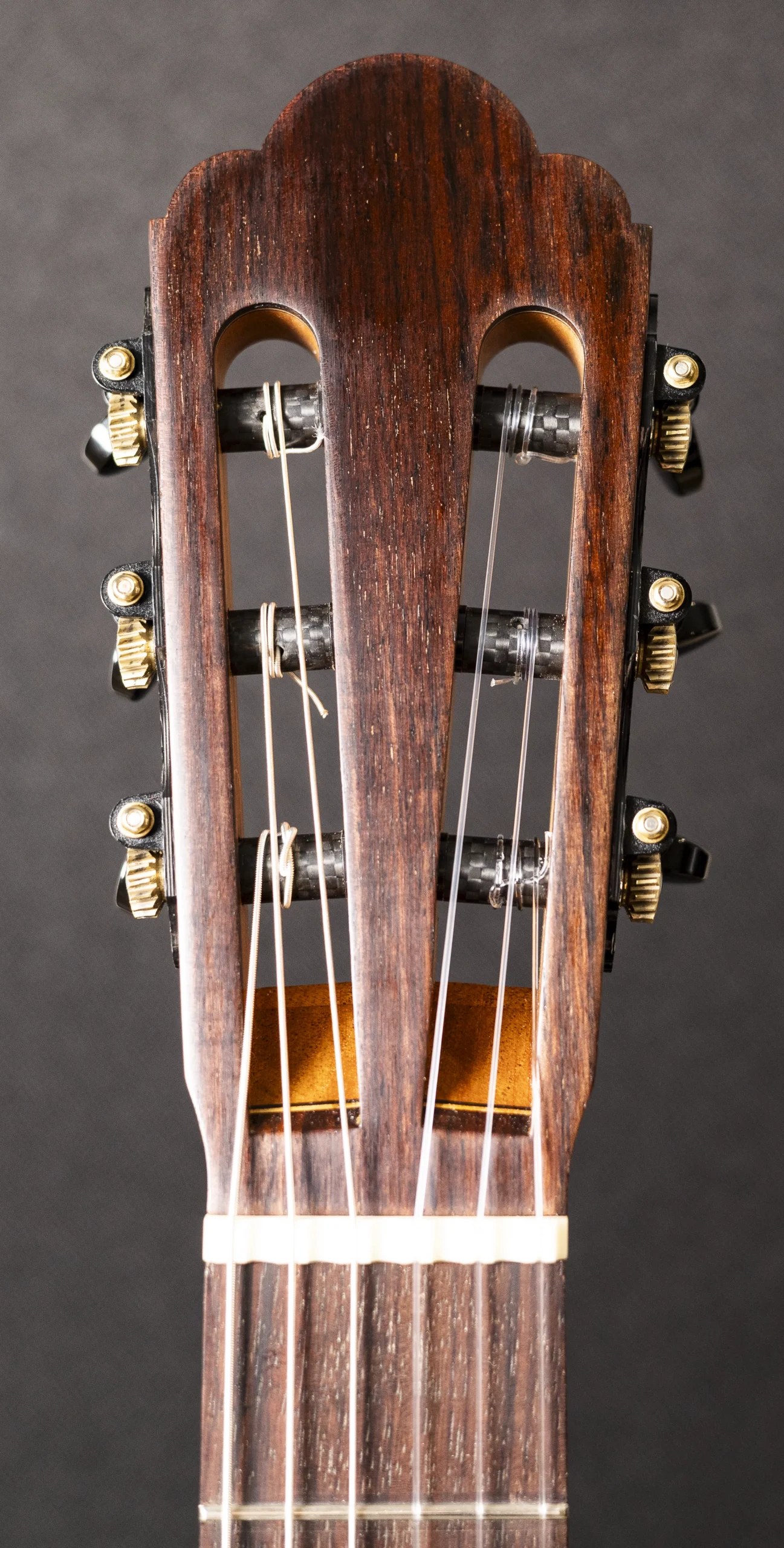 Sangirardi e Cavicchi | Concert (2026) - Image 12
