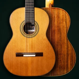 Steve Toon Cedar Doubletop 2025